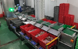 云开网页版助力兰州首个“中央厨房”分拣中心落成,赋能食品分拣新模式