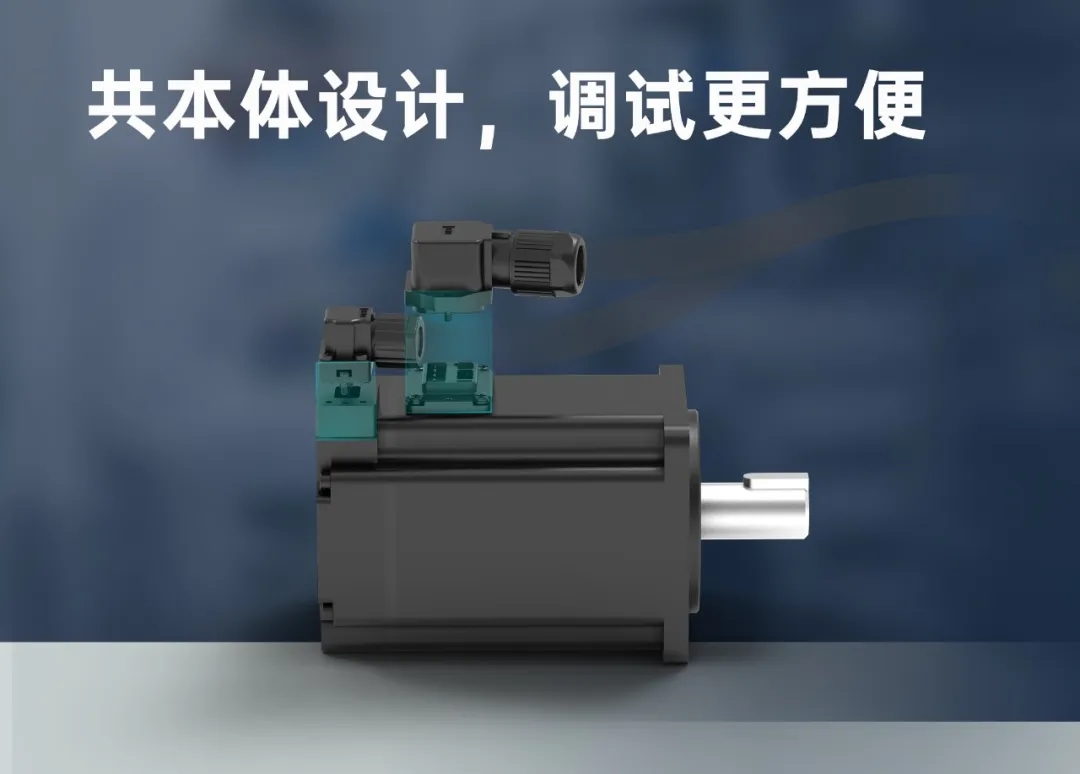 12.webp.jpg 12.webp.jpg